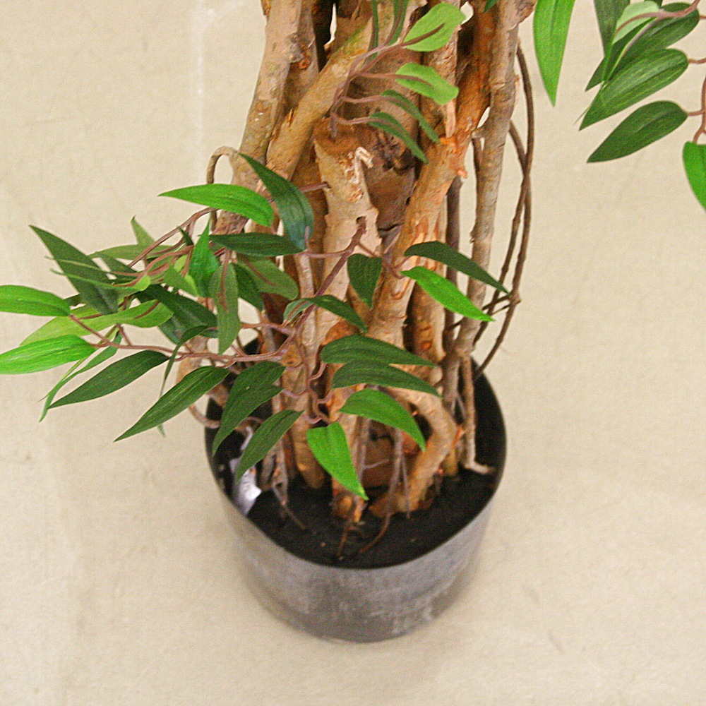 Kunstpflanze Tropischer Ruscus Naturstamm ca. H150 cm