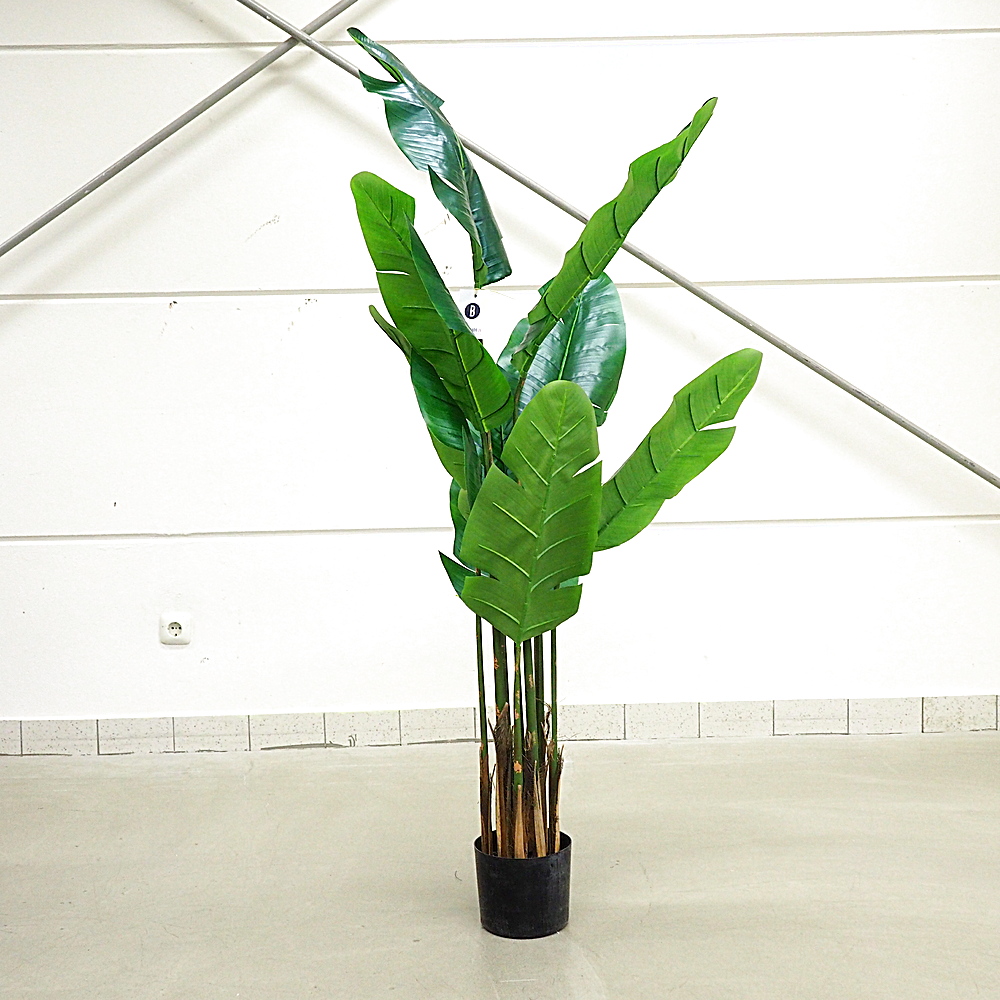 Kunstpflanze Traveller Palme Gingar H150 cm Ø71 cm