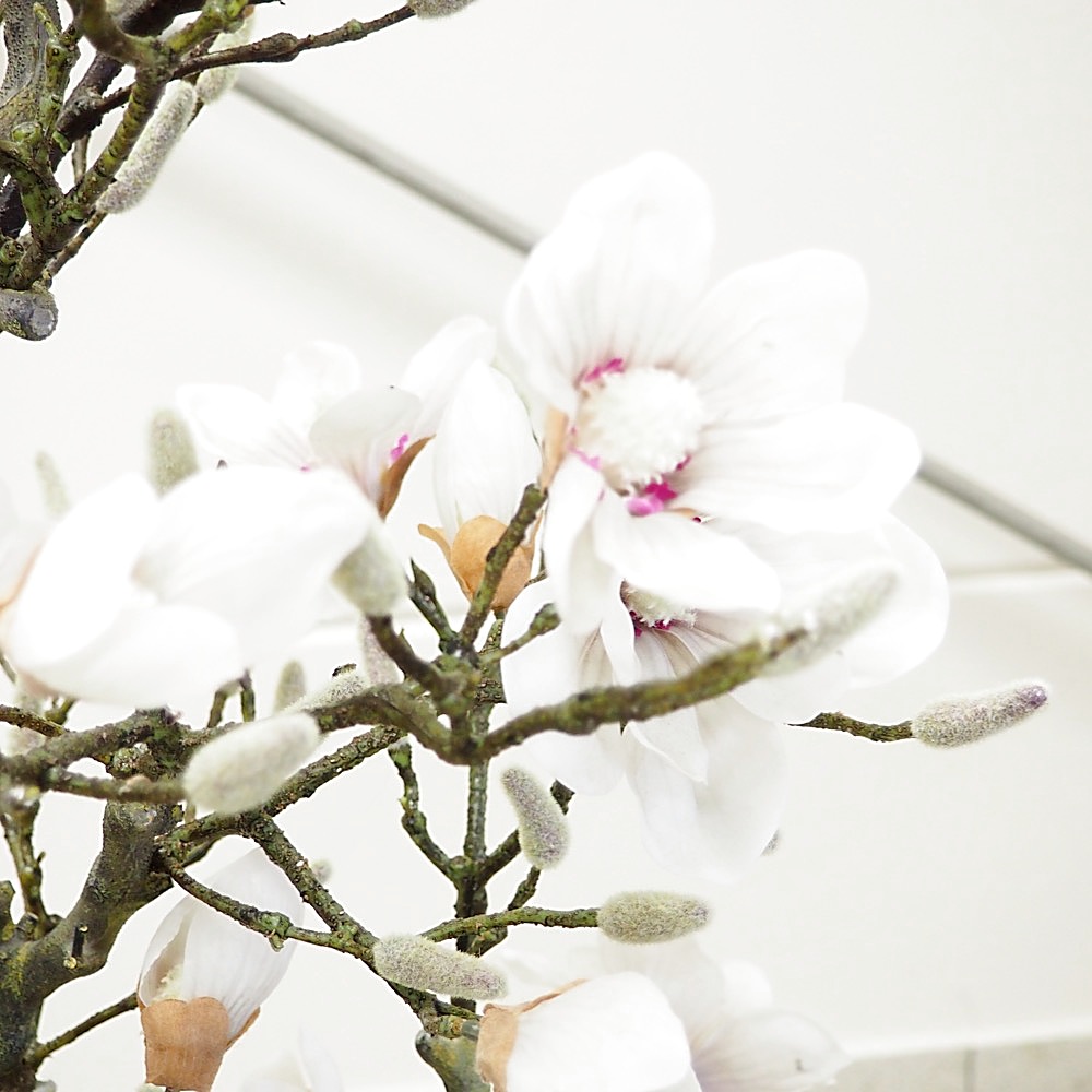 Kunstpflanze Magnolienbaum Gingar H160cm ø70cm