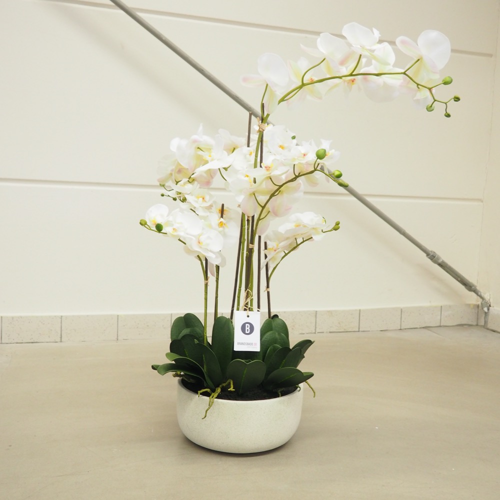 Kunstpflanze Orchideentopf Royal ca. B70 x T65 x H85 cm Gingar
