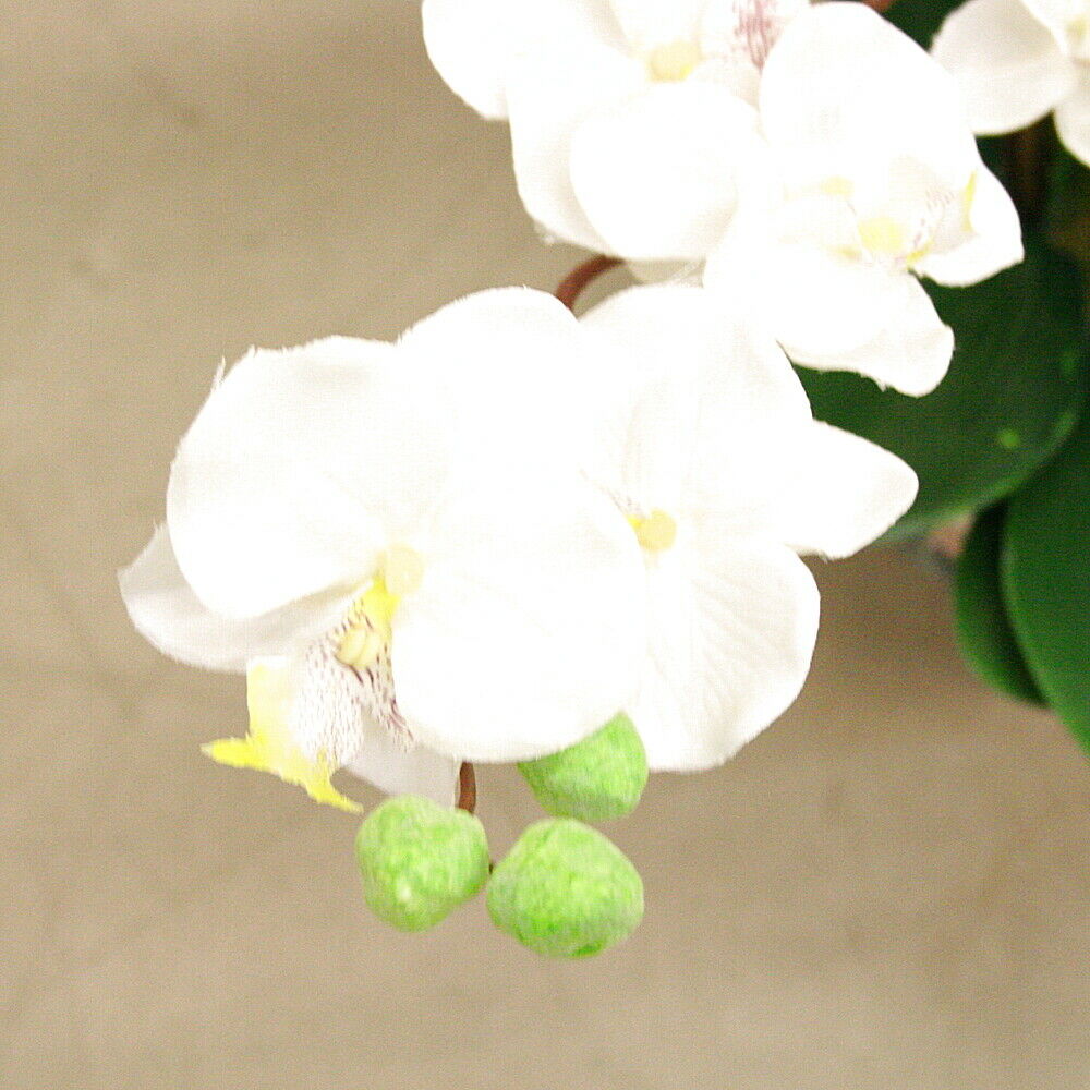 Kunstpflanze Orchidee Kunststoff ca. H 58 cm