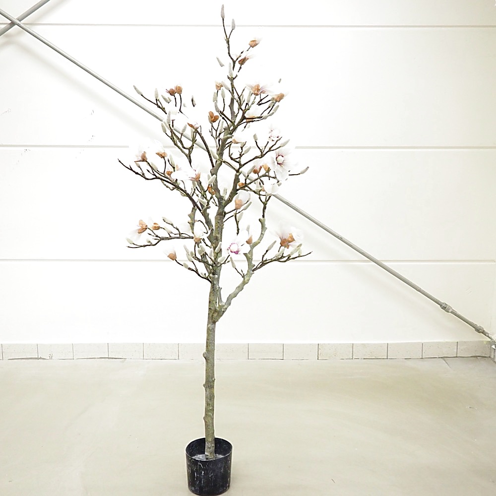 Kunstpflanze Magnolienbaum Gingar H160cm ø70cm