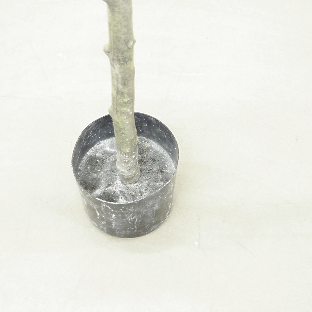 Kunstpflanze Magnolienbaum Gingar H160cm ø70cm