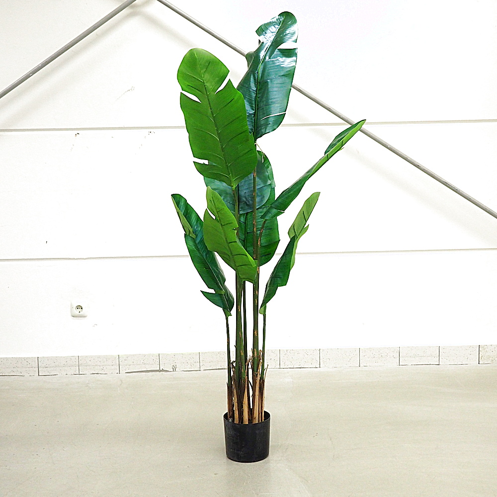 Kunstpflanze Traveller Palme Gingar H150 cm Ø71 cm