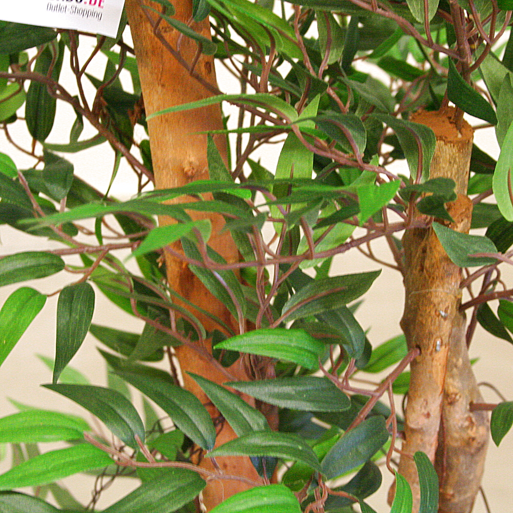 Kunstpflanze Tropischer Ruscus Naturstamm ca. H150 cm