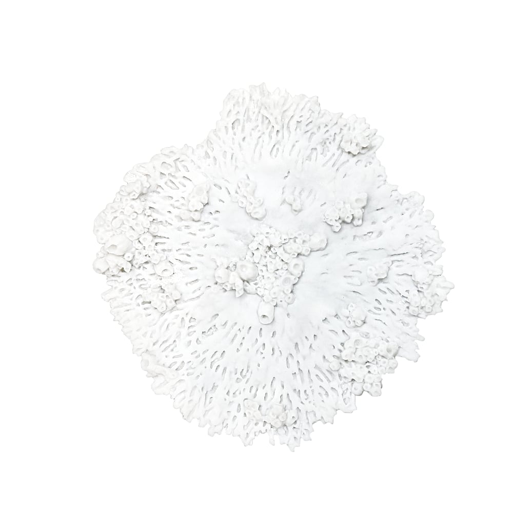 Wand-Deko Koralle ca. Ø 55 x 5 cm Polyresin Deko Maritim