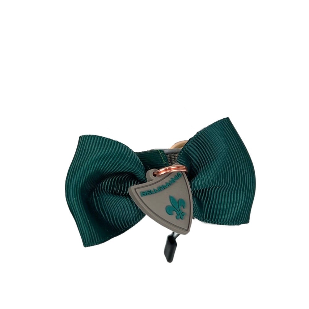 Hundehalsband Nalu, L 21 - 29 cm, B 1.6 cm