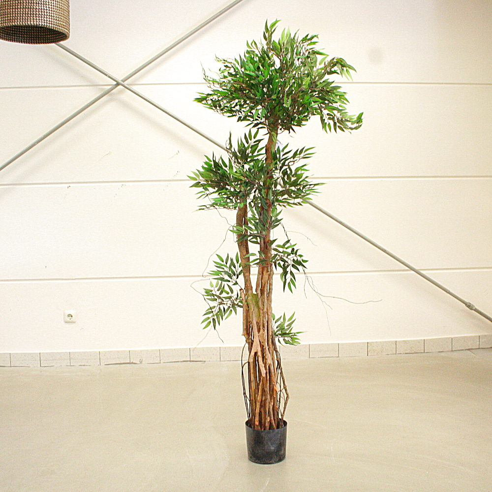 Kunstpflanze Tropischer Ruscus Naturstamm ca. H150 cm