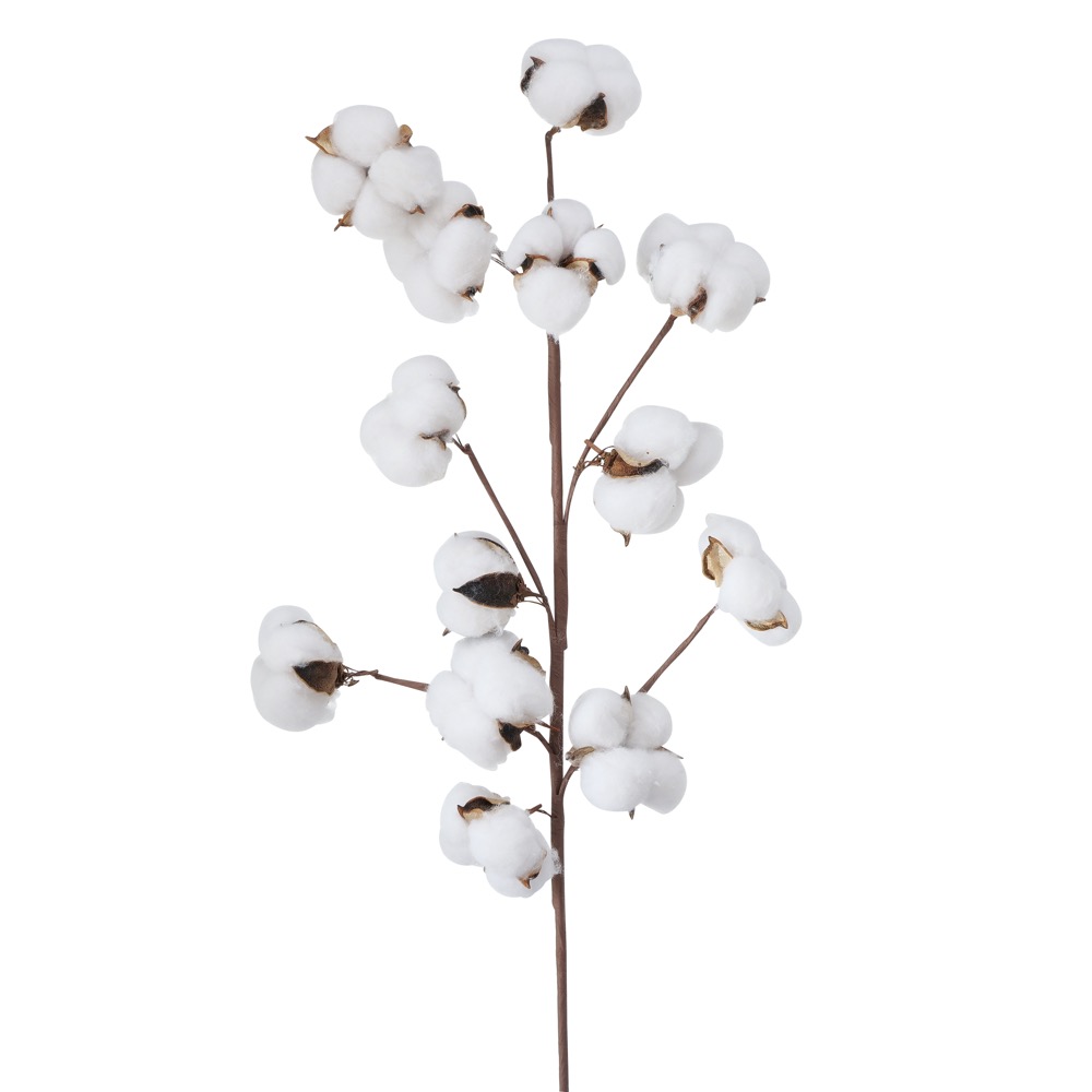 Deko-Zweig Baumwolle Indoor H 68 cm Weiß Braun Baumwollzweig