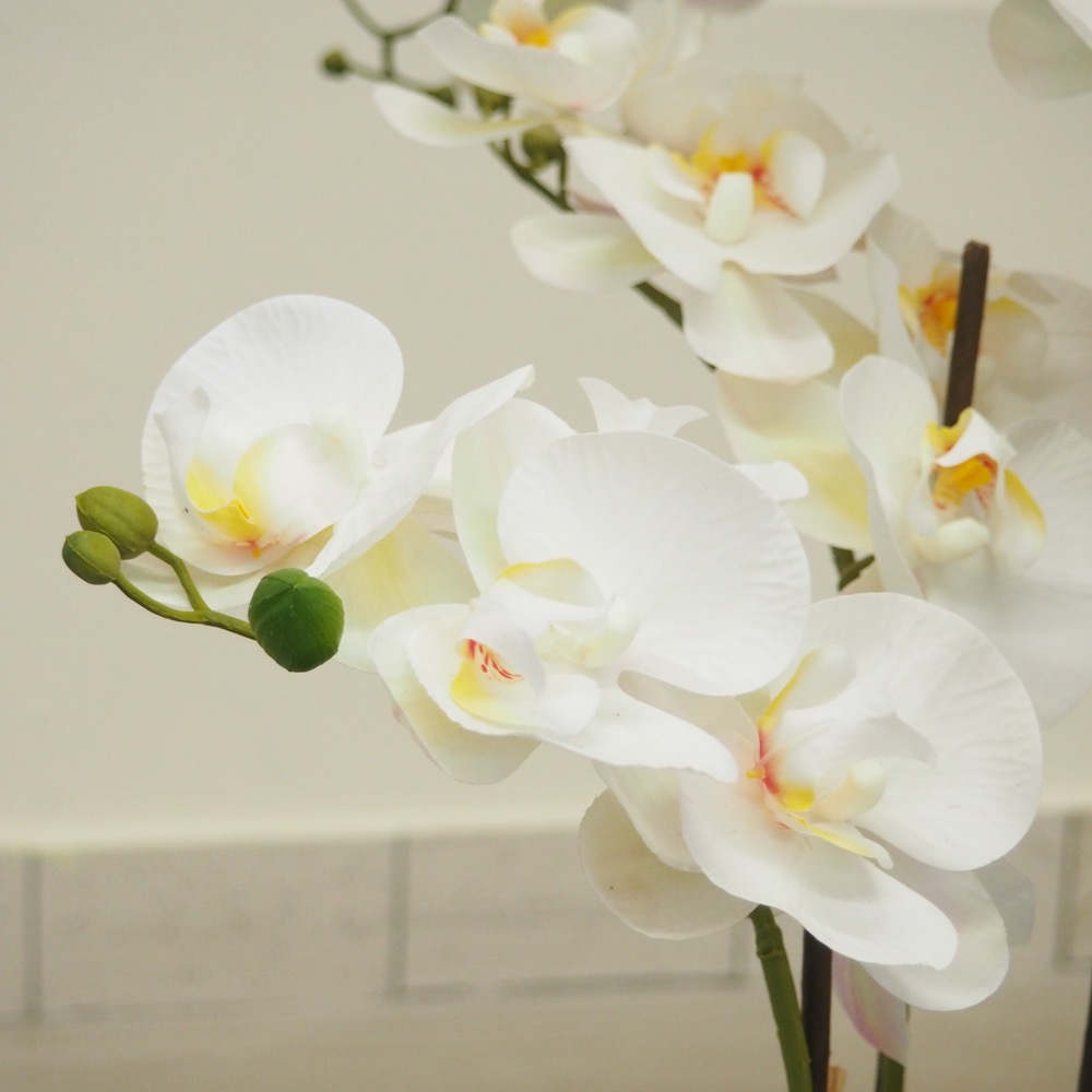 Kunstpflanze Orchideentopf Royal ca. B70 x T65 x H85 cm Gingar