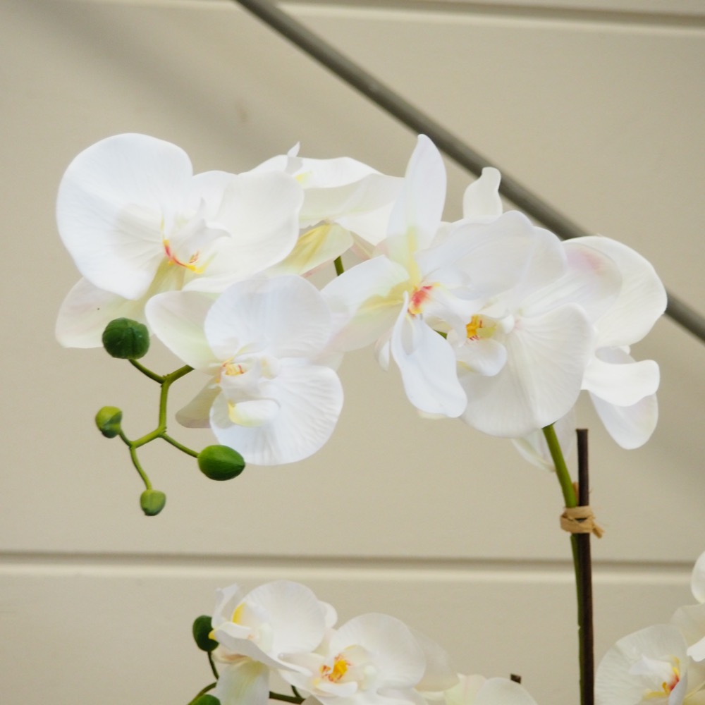 Kunstpflanze Orchideentopf Royal ca. B70 x T65 x H85 cm Gingar