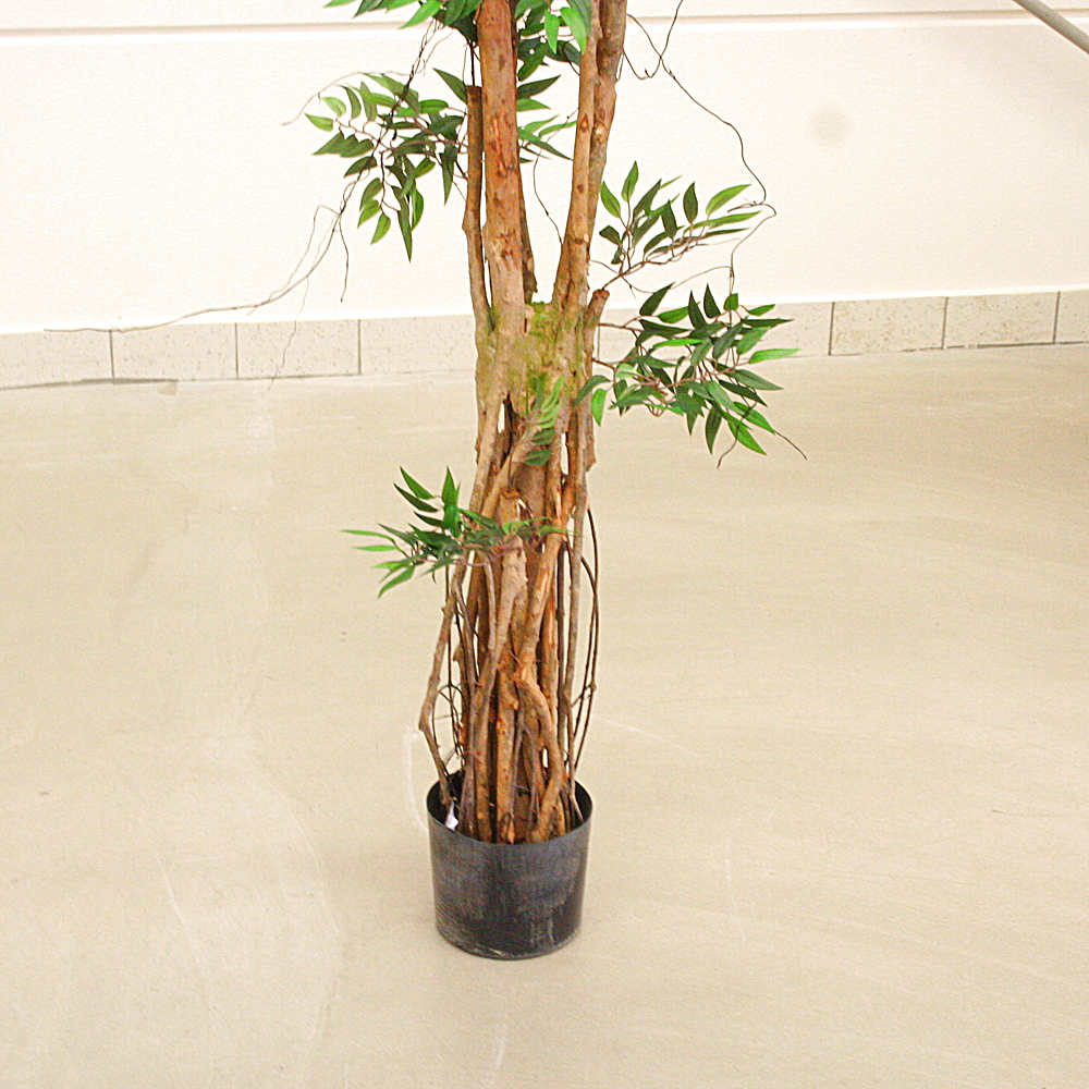 Kunstpflanze Tropischer Ruscus Naturstamm ca. H150 cm
